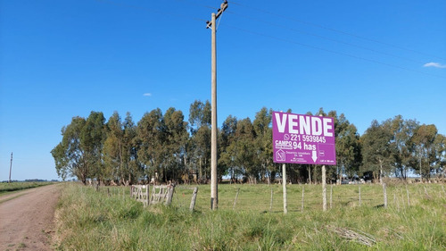 Imagen 6 de 13 de Campo Mixto De 94 Ha En Saladillo