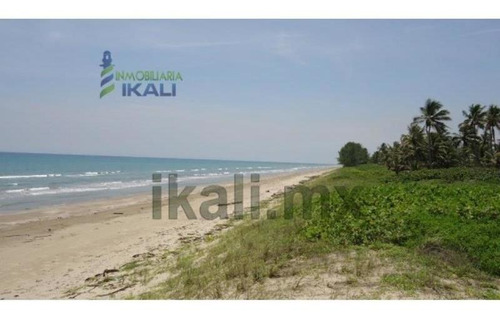 Imagen 5 de 10 de Terreno En Venta Majahual