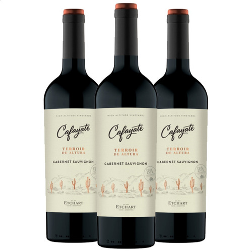 Vino Tinto Cafayate Terroir De Altura Malbec - Pack X3 Unid