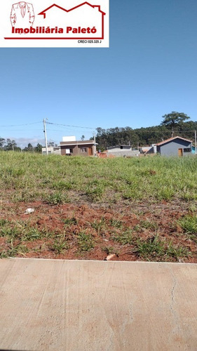 Imagem 2 de 2 de Terreno - 5501 - 69558607