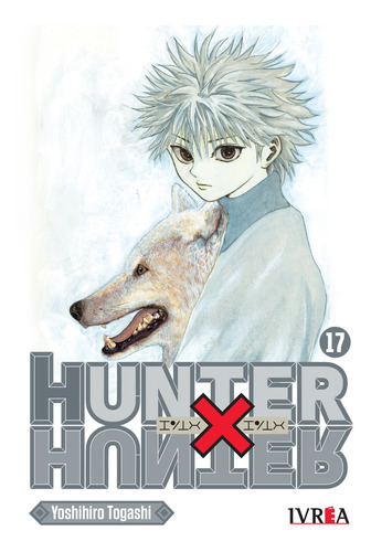 Hunter X Hunter 17 - Yoshihiro Togashi