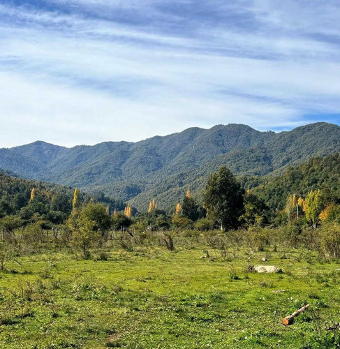 Sector Rural Precordillerano De Linares (169190)