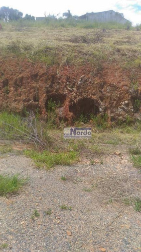 Imagem 11 de 20 de Terreno 1000metros À Venda. - Te0073