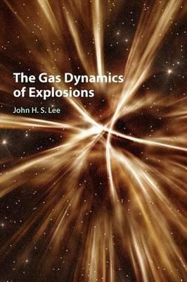 Libro The Gas Dynamics Of Explosions - John H. S. Lee