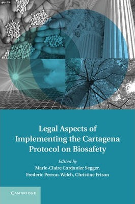 Libro Treaty Implementation For Sustainable Development: ...