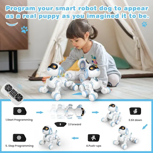Fuuy Robot Dog, Robot De Perro A Control Remoto Para Ninos C