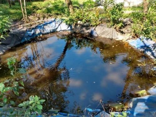 Imagem 11 de 14 de Chácara No Jardim Coronel Em Itanhaém