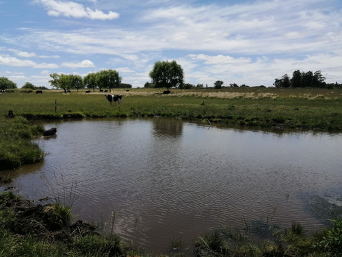 Imagen 14 de 14 de Campo A La Venta - Ruta 65 Km 90 - 11 Has . Índice Coneat 156, Ute Y Ose A 350 Mts.