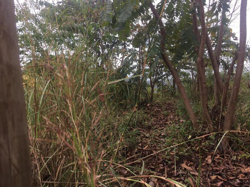 Imagem 7 de 11 de Lote Para Venda Em Ribeirão Das Neves, Rosaneves - L25_1-1358691