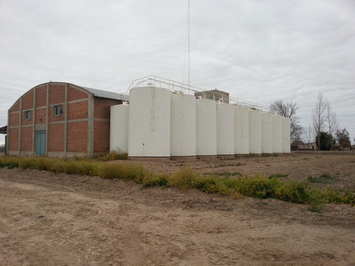 Imagen 3 de 10 de 77 Has - Bodega Y Viñedos - Ugarteche