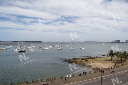 Imagen 16 de 27 de Departamento Con Vista Al Puerto. - Punta Del Este Peninsula