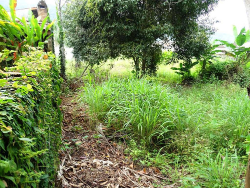 Imagem 5 de 9 de Terreno, Tabatinga, Caraguatatuba - R$ 700 Mil, Cod: 1139 - V1139
