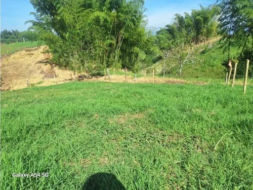 Venta Lotes En Quimbaya -quindío Colombia Cod: 7555717