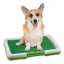 Comprar Baño Ecologico Portatil Para Mascotas Perros Gatos Y Otros