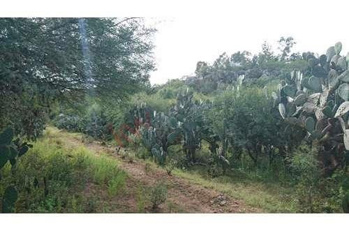 Imagen 20 de 25 de Venta Terreno 25 Mil M2 Cadereyta Queretaro Cerca De Peña De Bernal Tequisquiapan San Juan Del Rio Viñedos Quesos Planetario