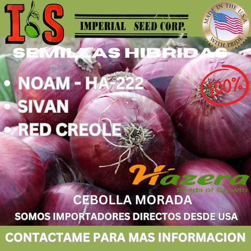 Cebolla Morada Hazera Noam - Ha-222--sivan--red Creole 150gr