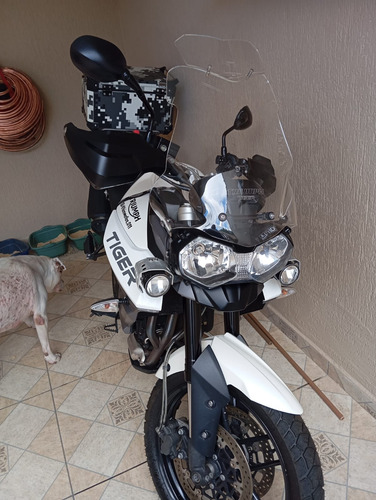 Tiger Xr 800 Moto Moto Zerada Vendo