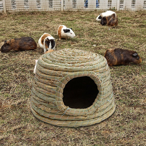 Choza De Refugio De Paja Para Mascotas Con Nido De Pequeño