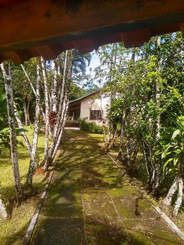 Imagem 12 de 14 de Linda Chácara Em Itanhaém