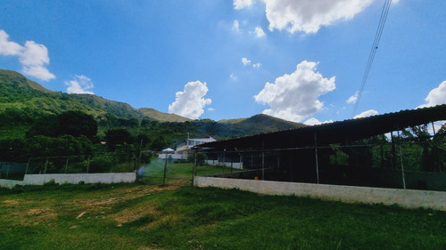 Vendo Finca Productora De Cerdos Y A Fines En Chirgua De 8 Hectáreas