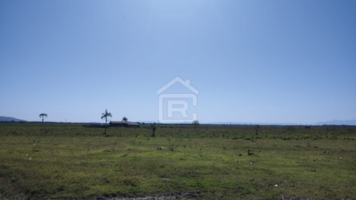 Imagem 29 de 30 de Fazenda Localizada Em Iguape- Sp Com 280 Alqueires - 262 - 71153412