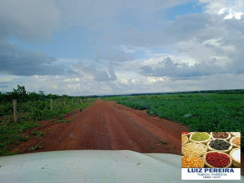 Imagem 5 de 15 de Fazenda À Venda Em Peixe - To - De 213 Alqueirões (agricultura) - 1700
