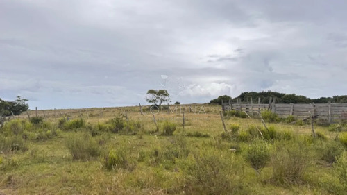 Campo 26 Has Sobre Camino Los Molles