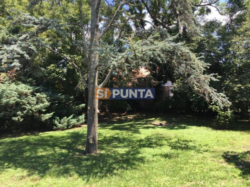 Imagen 10 de 12 de Muy Buena Zona