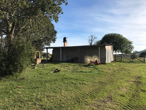 Hermoso Campo De 123 Has. Vistas A Las Sierras (ref. 2117)