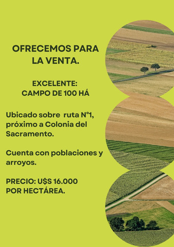 Venta De 100 Hectáreas De Campo En Colonia. Ref: 659.