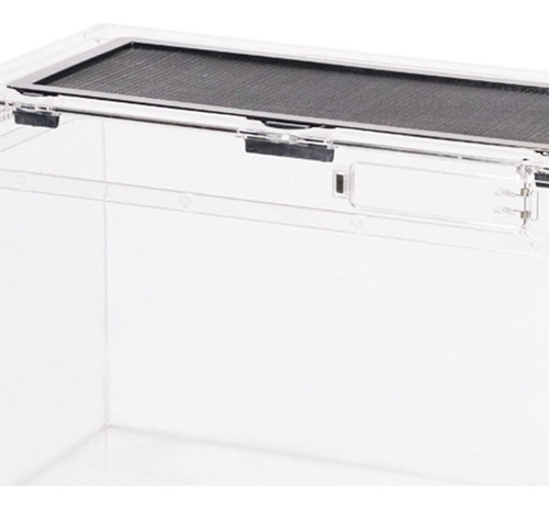 Terrario Para Reptiles, Tanque, Caja De Alimentación De