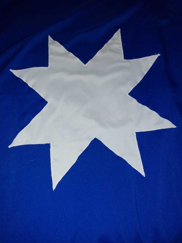 Bandera Mapuche 150 Por 100 Cms