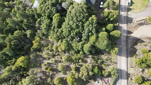 Terreno Lote En Venta En Faldeos Del Chapelco, San Martin De Los Andes, Patagonia
