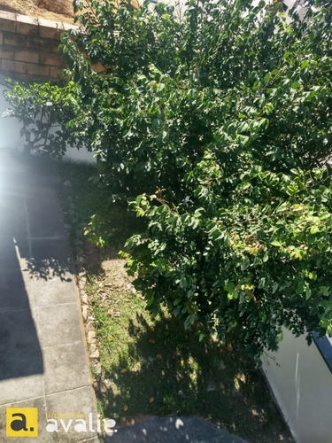 Imagem 4 de 14 de Casa Residencial E Comercial Na Escola Agricola - 6002518v