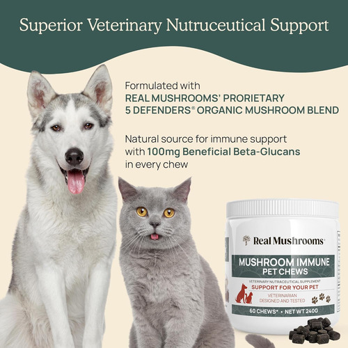 Real Mushrooms Immune Pets Refuerzo Inmunológico 60 Chews