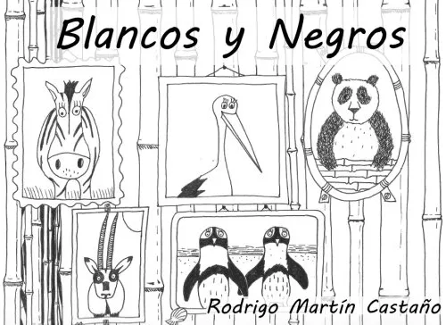 Blancos Y Negros: Para Bruno Y Nico (cuentos Personalizados)