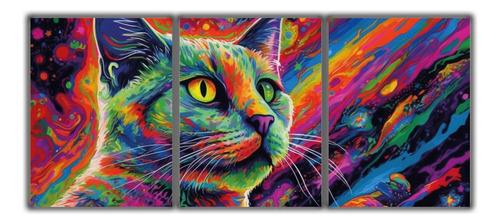 Cuadro Decorativo Tríptico Gato Psicodelic