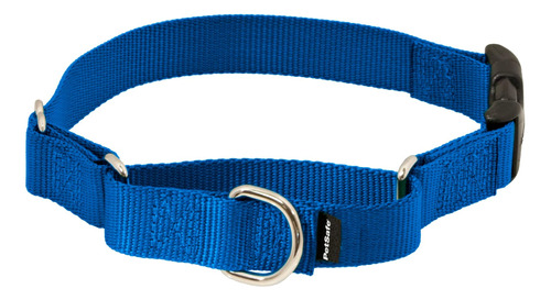 Collar Martingale Petsafe Con Hebilla De Cierre Rápido, 1 Gr