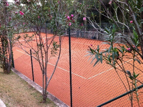 Imagem 13 de 15 de Terreno - Te03232 - 2241992