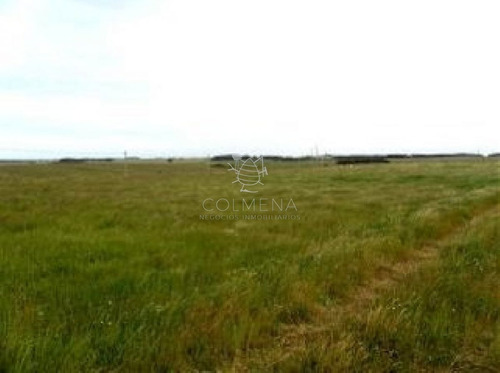 Imagen 3 de 10 de Campo 12 Has En Garzon, Cuenta Con Tajamar, Cañada, Alambres En Muy Buen Estado. Se Puede Financiar O Permuta - Consulte!!!!!!!!! - Garzón