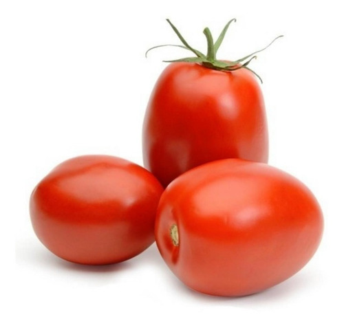 Semillas De Tomate Chonto  Santa Clara X 2gr 