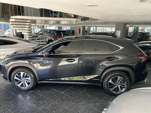 Lexus 300 Nx Hybrid 2019