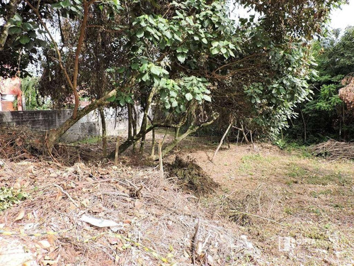 Terreno À Venda, 450 M² Por R$ 260.000,00 - Fazendinha - Carapicuíba/sp - Te0018