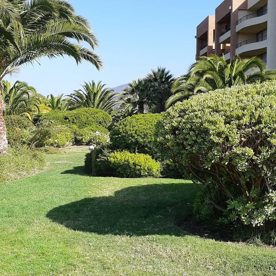 Imagen 4 de 9 de Venta Lindo Departamento, Con Preciosa Vista Al Mar