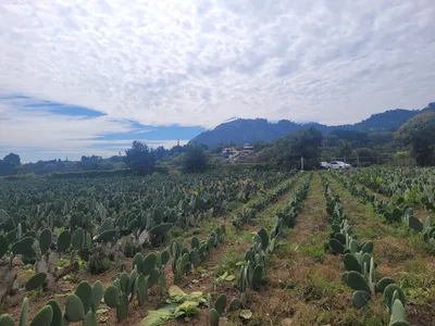 Terreno en venta