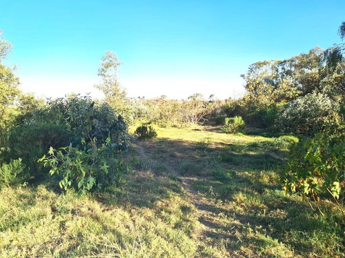 Terreno En Venta En Las Ánimas, Naucalpan De Juárez