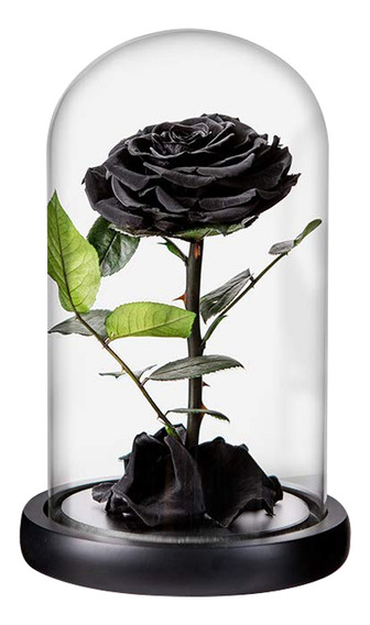 Rosas Negras Preservadas | MercadoLibre ?