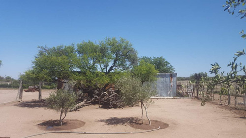 Campo En Venta Villa Quilino - Campo Ganadero Con 2 Casas