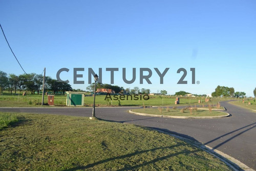 Imagen 1 de 25 de Lote Central Venta San Ramon Pilar Del Este Oportunidad