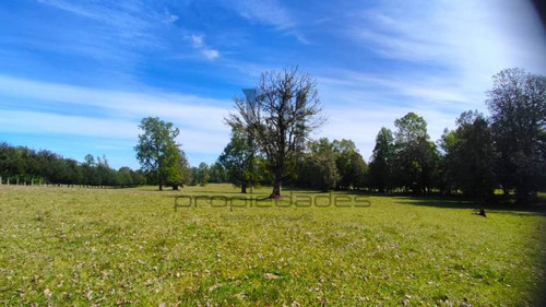 Imagen 9 de 25 de Venta De Parcela En Villarrica